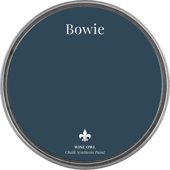 Bowie Wise Owl Chalk Synthesis Paint/ Furniture Paint
