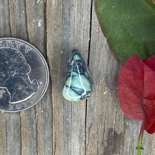 Desert Bloom Variscite Cabochon Etsy