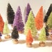 see more listings in the Bottle Brush Trees section