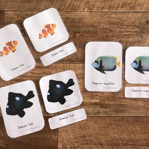 Cartões de 3 partes inspirados em Montessori - Peixe - Marinho - Aquático - Educacional - Brinquedos - Aprendizagem - Cartão