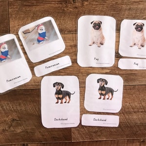 Montessori geïnspireerd 3-delige kaarten - honden - honden - dieren - educatieve - speelgoed - leren - kaart