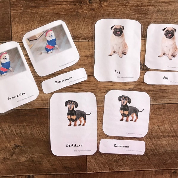 Montessori inspired 3-part cards - Dogs - Canine - Animal - Educational - Toys - Learning - Card