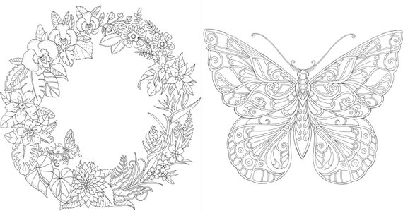 5400 Magical Jungle Coloring Book Butterfly Best HD