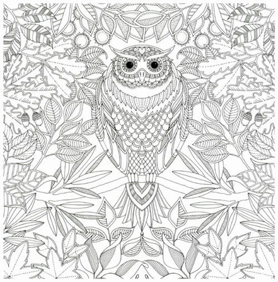 960+ Secret Garden Coloring Book Owl Best HD