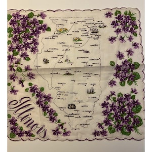 Vtg Illinois State Mouchoir Souvenir Violets Carte des villes et villages 12,5 pouces