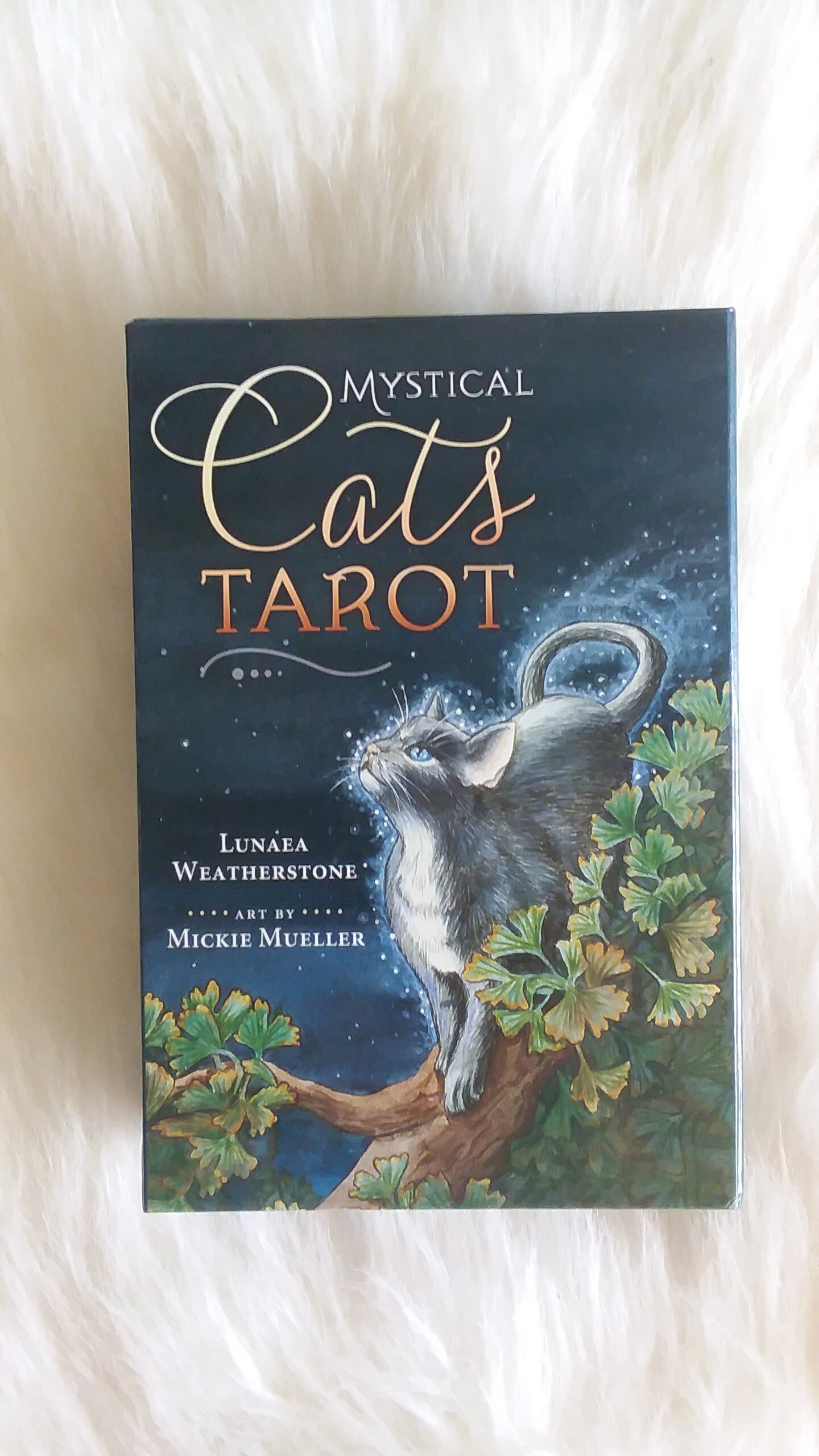 Mystical Cats Tarot Deck Mystical Cats Tarot Tarot Cards Etsy