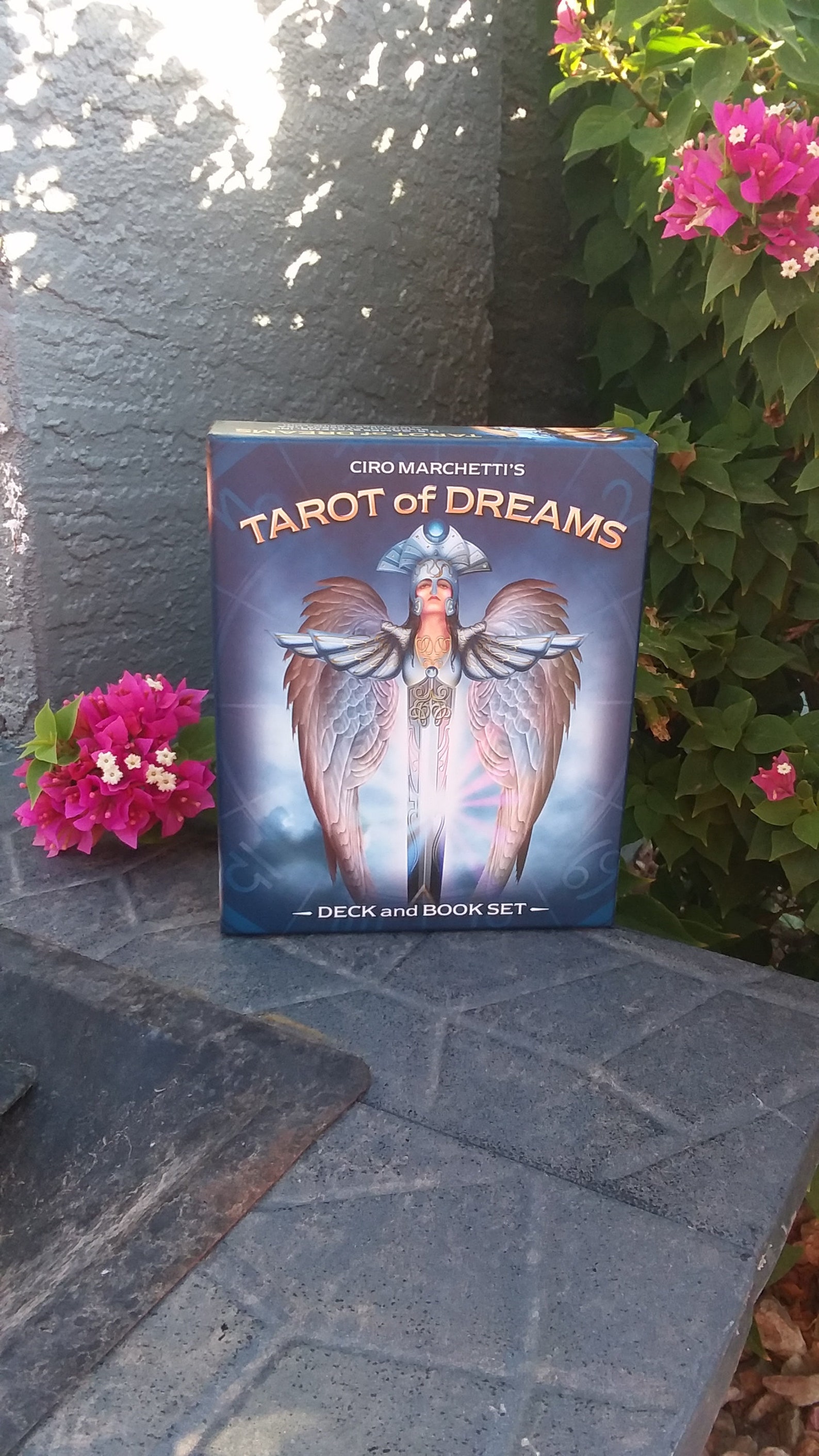 Tarot of Dreams Tarot of Dreams Deck Tarot Cards Tarot | Etsy