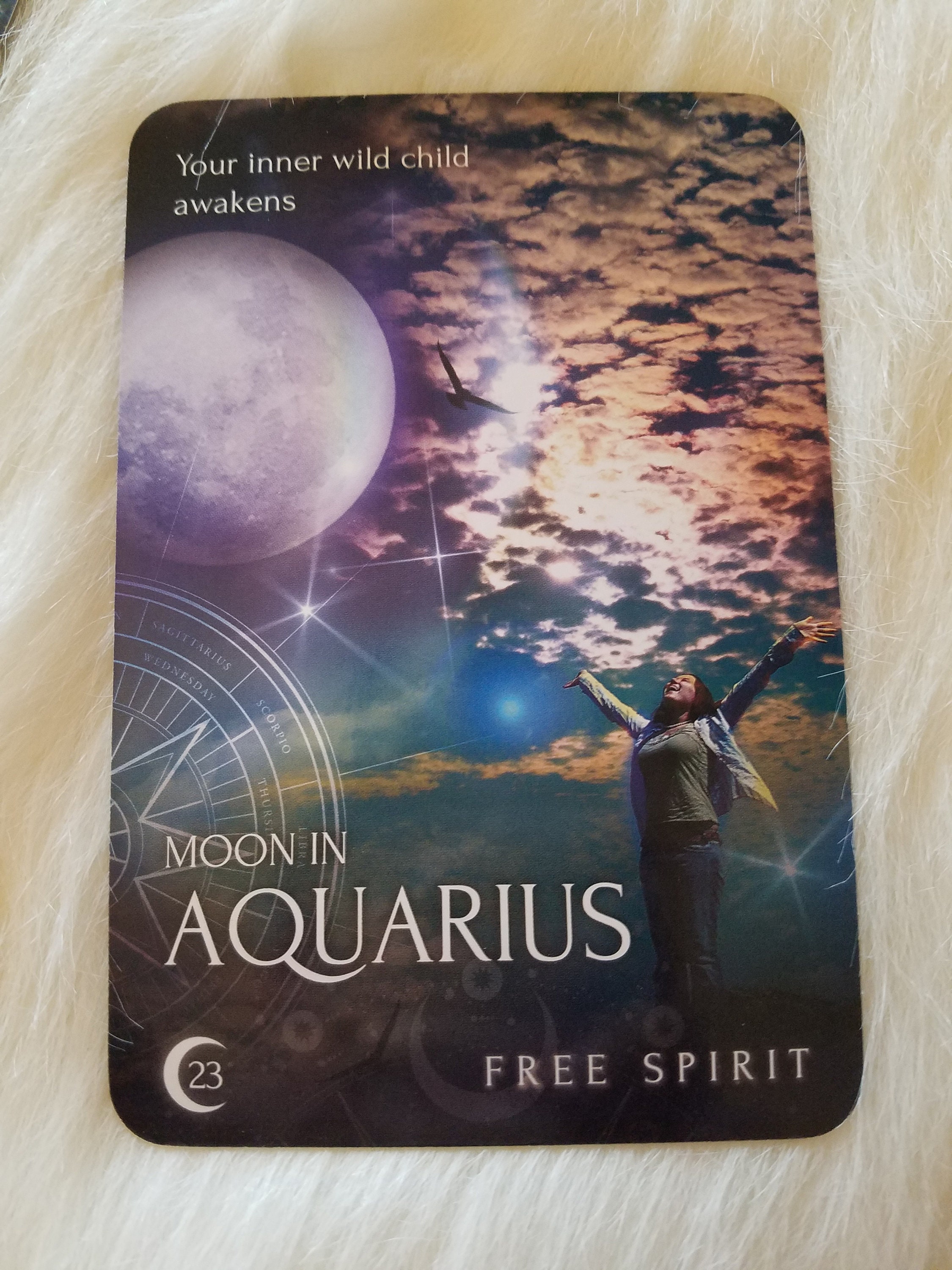 The Meloni Moon Oracle Deck Your Cosmic Compass To Intuitive Wisdom - slyesbg