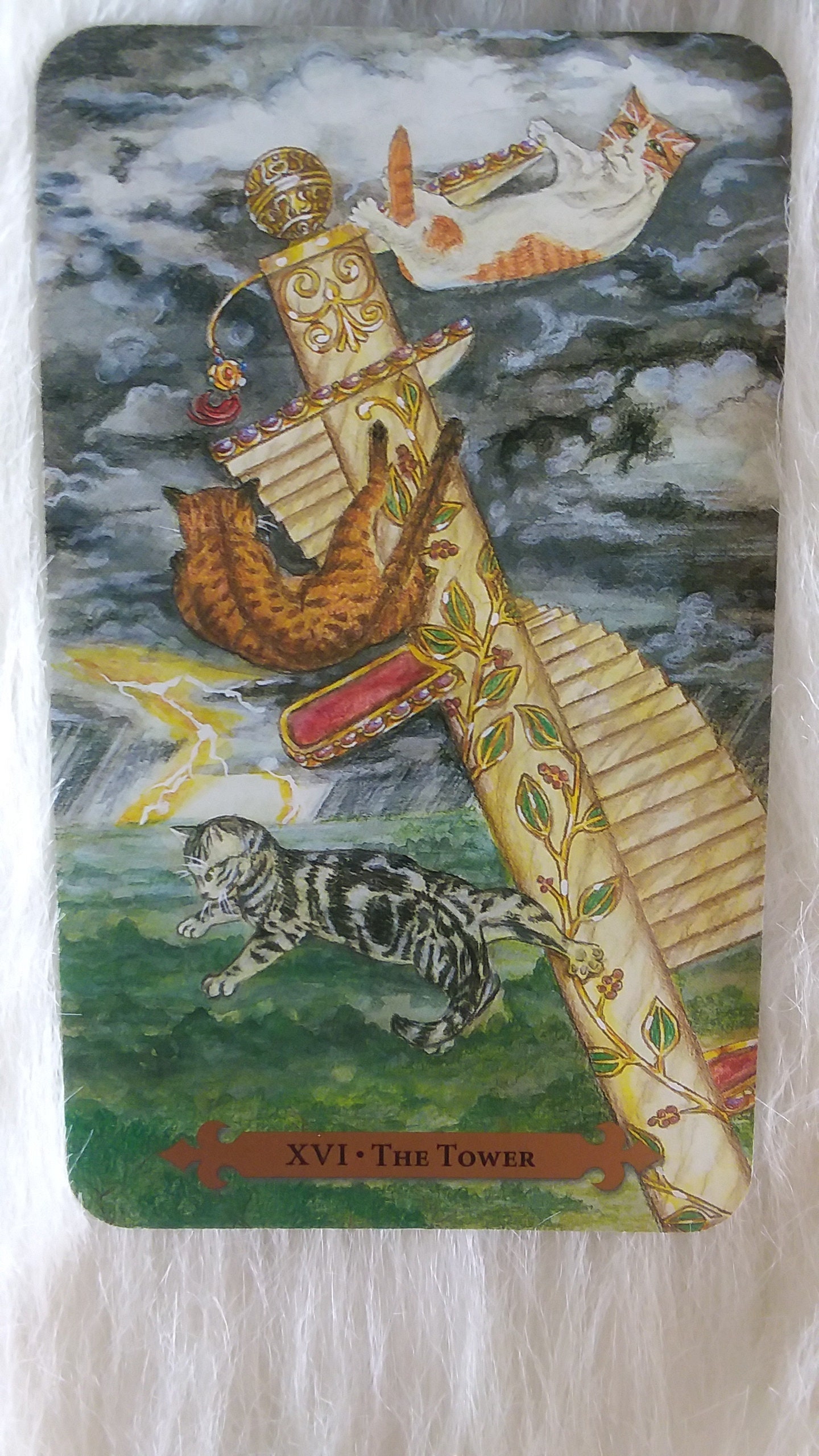 Mystical Cats Tarot Deck Mystical Cats Tarot Tarot Cards Etsy