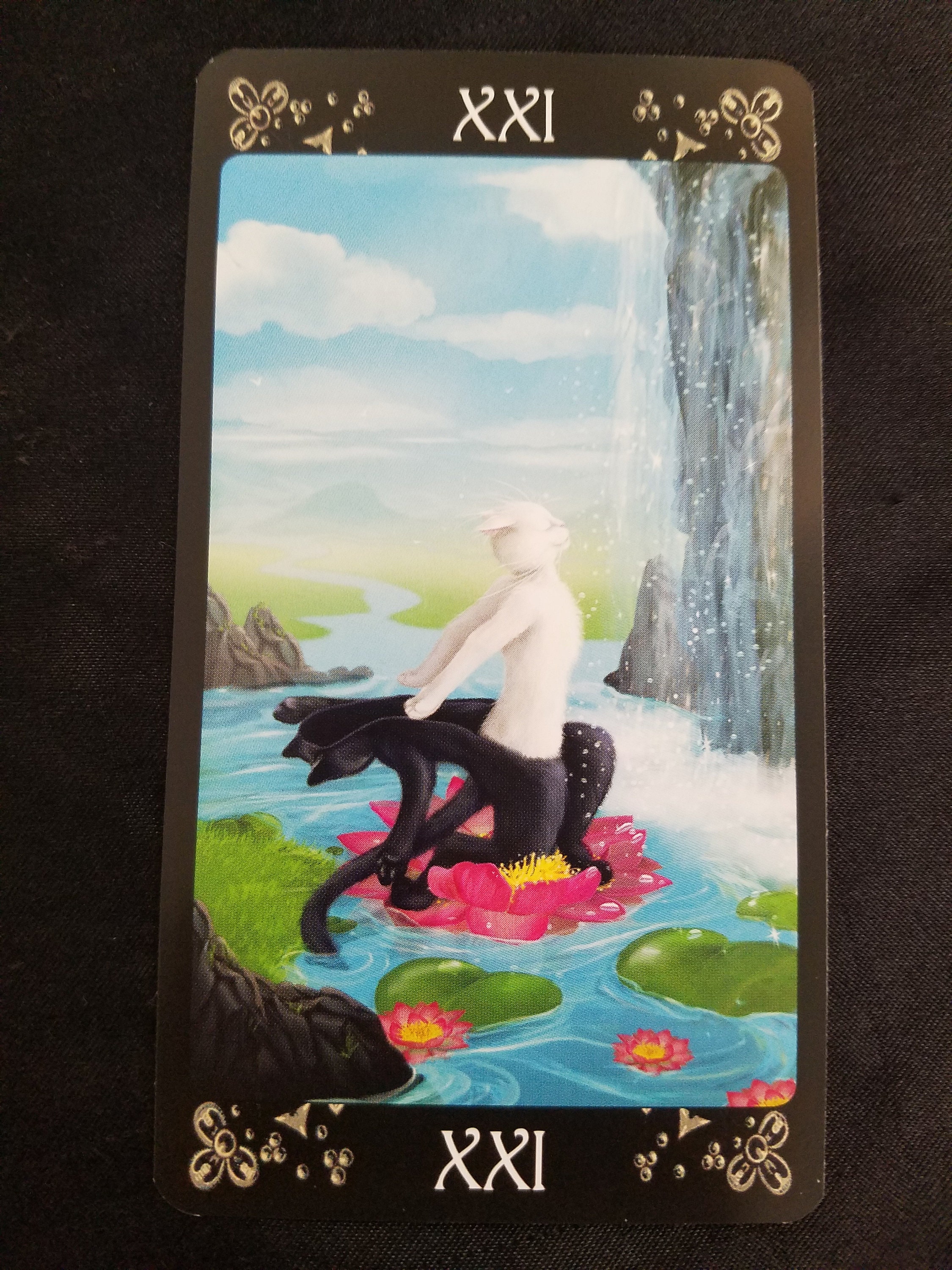 Black Cats Tarot Tarot Deck Tarot Cards Divination Cat Etsy