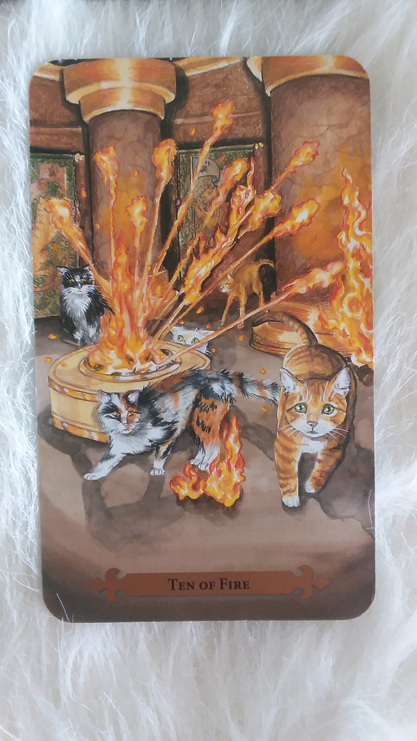 Mystical Cats Tarot Deck Mystical Cats Tarot Tarot Cards Etsy