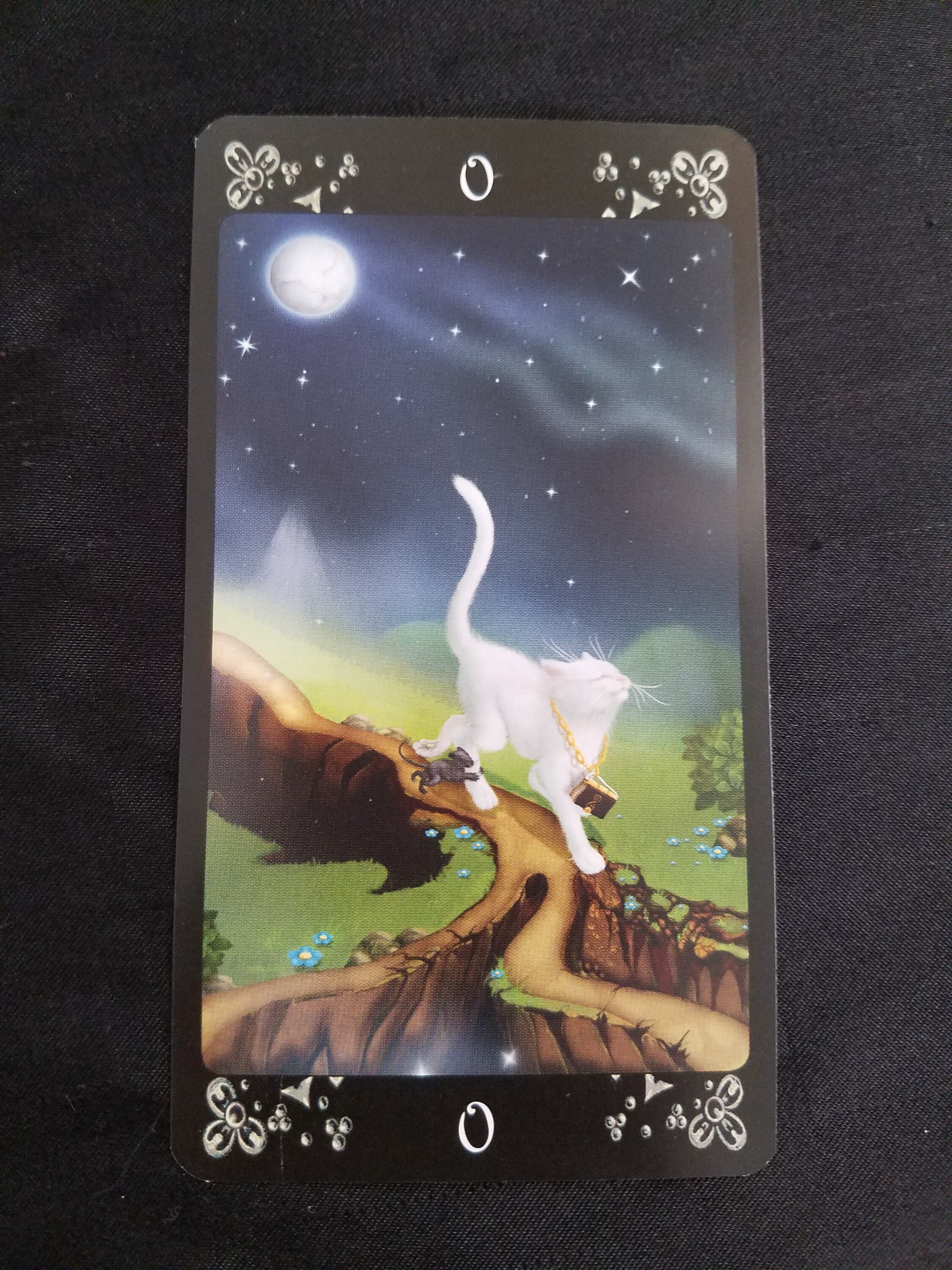 Black Cats Tarot Tarot Deck Tarot Cards Divination Cat Etsy