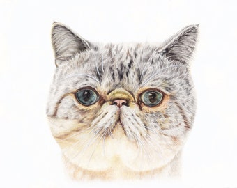 Retrato de mascota 14,8 x 21 cms