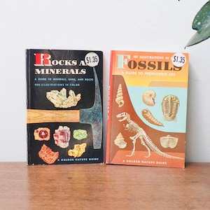 May include: Two vintage Golden Nature Guides: "Rocks & Minerals" and "Fossils." The "Rocks & Minerals" book has a black cover with colorful mineral illustrations. The "Fossils" book features an orange cover with illustrations of fossils and a dinosaur skeleton.