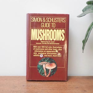 Simon & Schusters Mushroom Guide - Vtg Mushroom Field Guide - 80s Foraging Book - 1981 Fungi Identification - Mushroom Species
