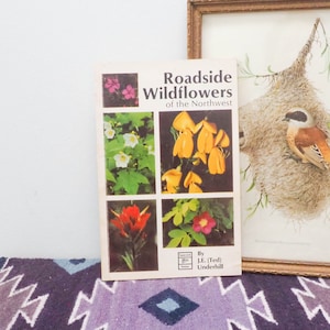 Roadside Wildflowers of the Northwest - J.E. Underhill - 80s Edible Plants Guidebook - Vtg Cabin Book - Foraging Guide - Outdoors Gift
