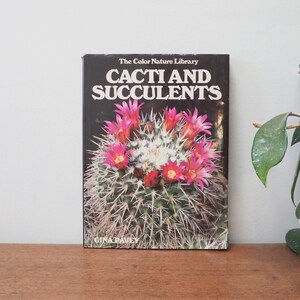 Cacti and Succulents - Gina Pavey - Color Nature Library - 70s Succulent Reference - Vtg Cactus Plant Book - Vintage Houseplant Book