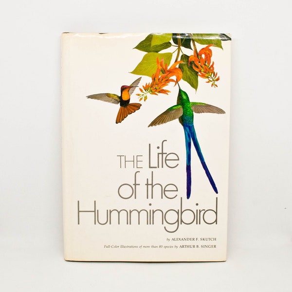 The Life of the Hummingbird Book - 70s Bird Book - Hardcover Country Life - Vtg Art and Text Book - Coffee Table Art Book