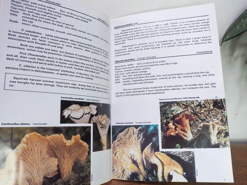 Guide to Western Mushrooms - JE Underhill - 90s Mushroom Guidebook ...