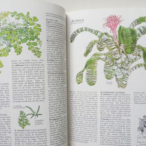 May include: Open book pages with botanical illustrations. One page features a detailed drawing of a fern labeled "Adiantum." The facing page showcases a plant with a pink flower and striped leaves, identified as "Aechmea."