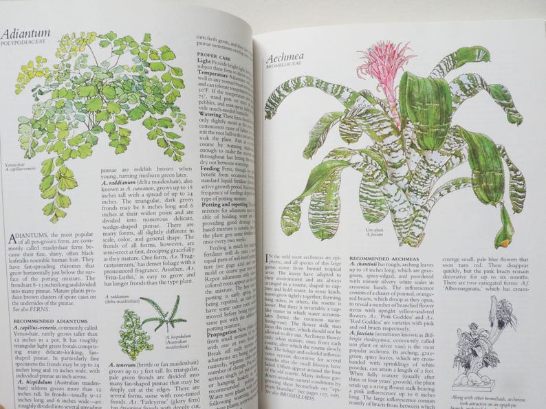 May include: Open book pages with botanical illustrations. One page features a detailed drawing of a fern labeled "Adiantum." The facing page showcases a plant with a pink flower and striped leaves, identified as "Aechmea."