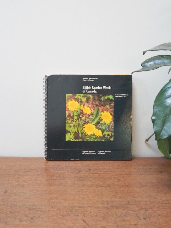 Edible Garden Weeds of Canada - Szezawinski - National Museum of Natural Sciences- 80s Vintage Wild Plants Guidebook - Vtg Cabin Book