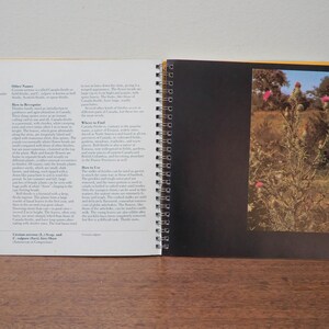 May include: Open book with text and a color photograph of thistles. The left page has text about thistles, including their other names and how to recognize them. The right page has a photo of thistles with pink flowers.