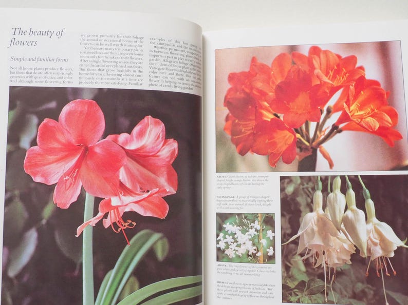 May include: A page from a book featuring images of flowers. The left side displays a close-up of a large, pink Amaryllis flower with green leaves. The right side shows a cluster of orange flowers and other floral arrangements.
