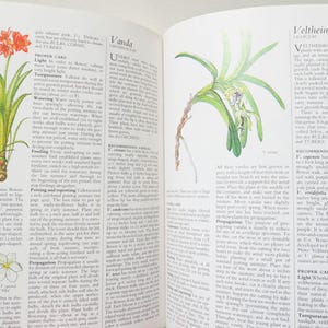 May include: Open book with botanical illustrations of flowering plants. The left page features a Vallota plant with orange flowers and a detailed drawing of the flower. The right page shows a Vanda orchid.