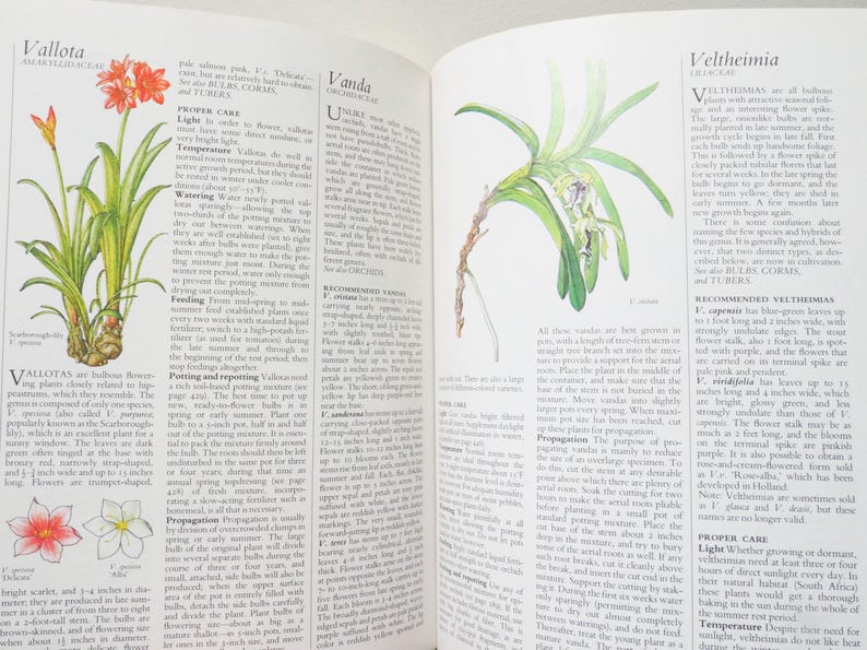 May include: Open book with botanical illustrations of flowering plants. The left page features a Vallota plant with orange flowers and a detailed drawing of the flower. The right page shows a Vanda orchid.