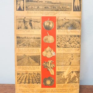 40s Vegetable Cook Book - Mcfayden Seed Co Cook Book - 1941 - Vintage ...