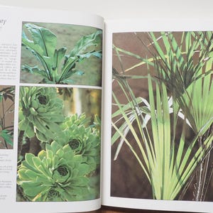 May include: An open book displays images of various plants. The left page features a fern, a cluster of succulents, and a plant with multiple leaves. The right page shows a close-up of a palm-like plant with long, green leaves.