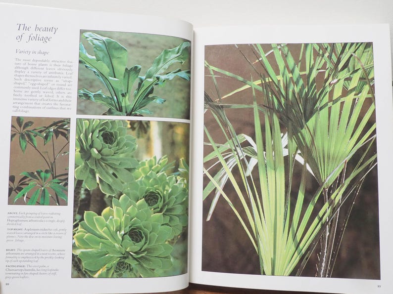 May include: An open book displays images of various plants. The left page features a fern, a cluster of succulents, and a plant with multiple leaves. The right page shows a close-up of a palm-like plant with long, green leaves.