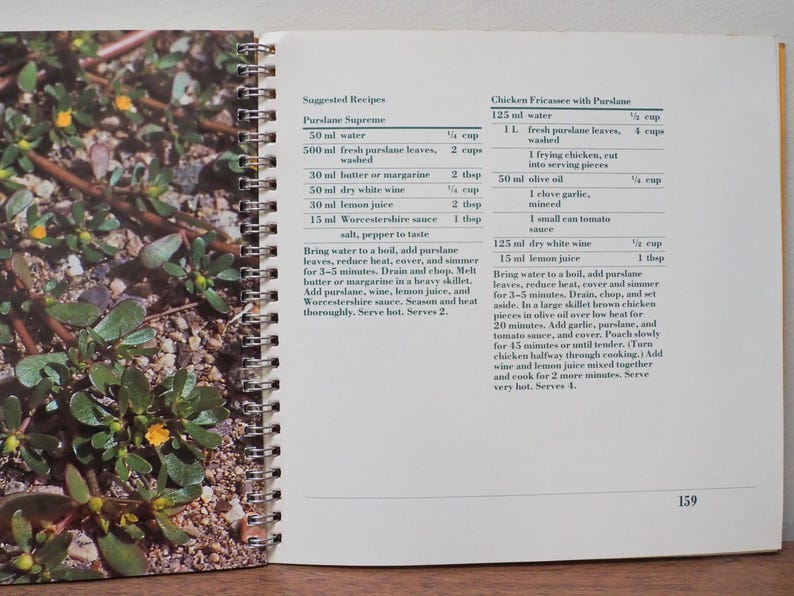 May include: Open cookbook page with recipes for Purslane Supreme and Chicken Fricassee with purslane. The left page shows purslane plants with small yellow flowers. The right page has the recipe instructions.