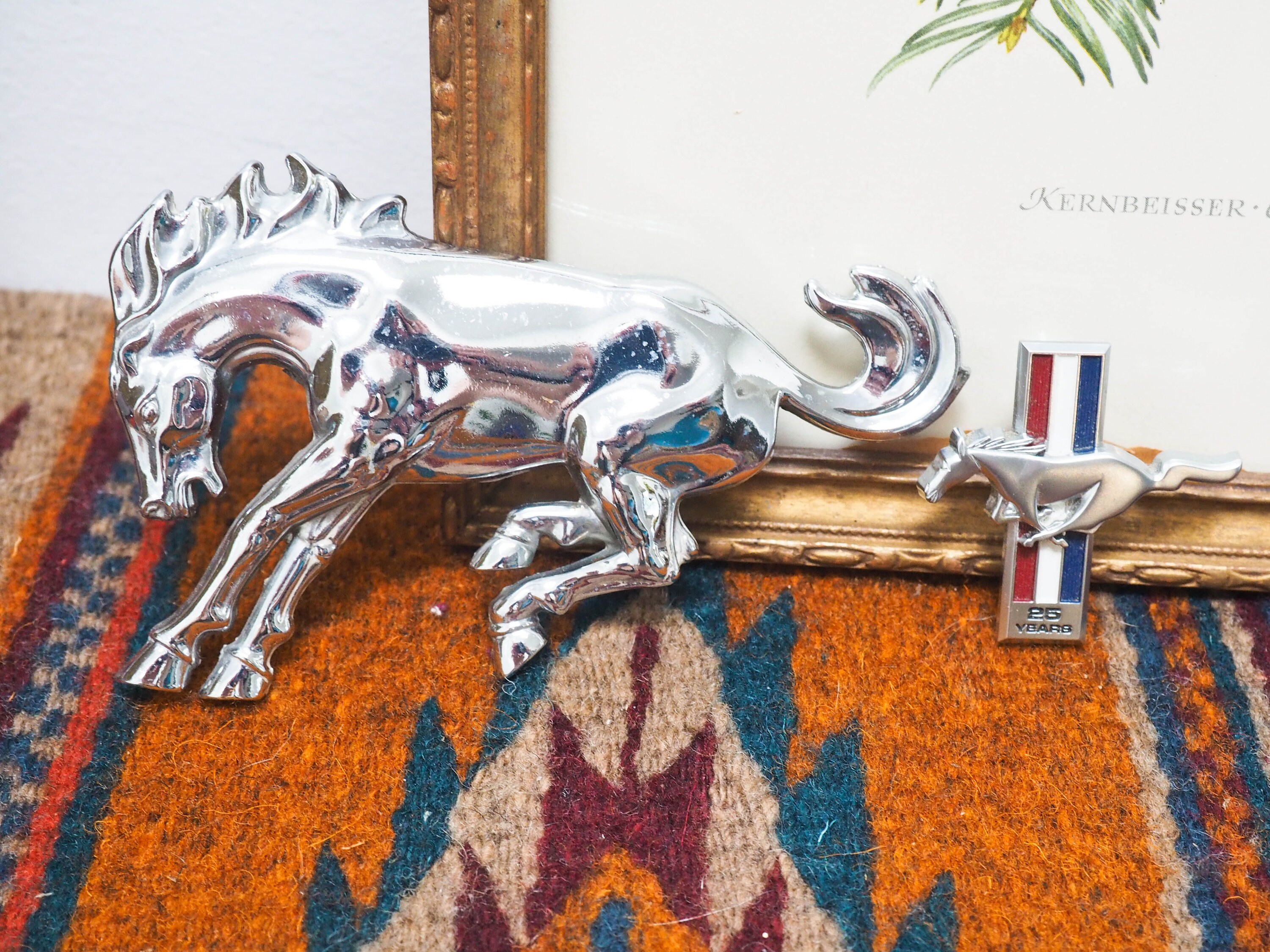 洋書 MUSTANG The Racing Thoroughbred Ford Mustang Running Horse Pony 4