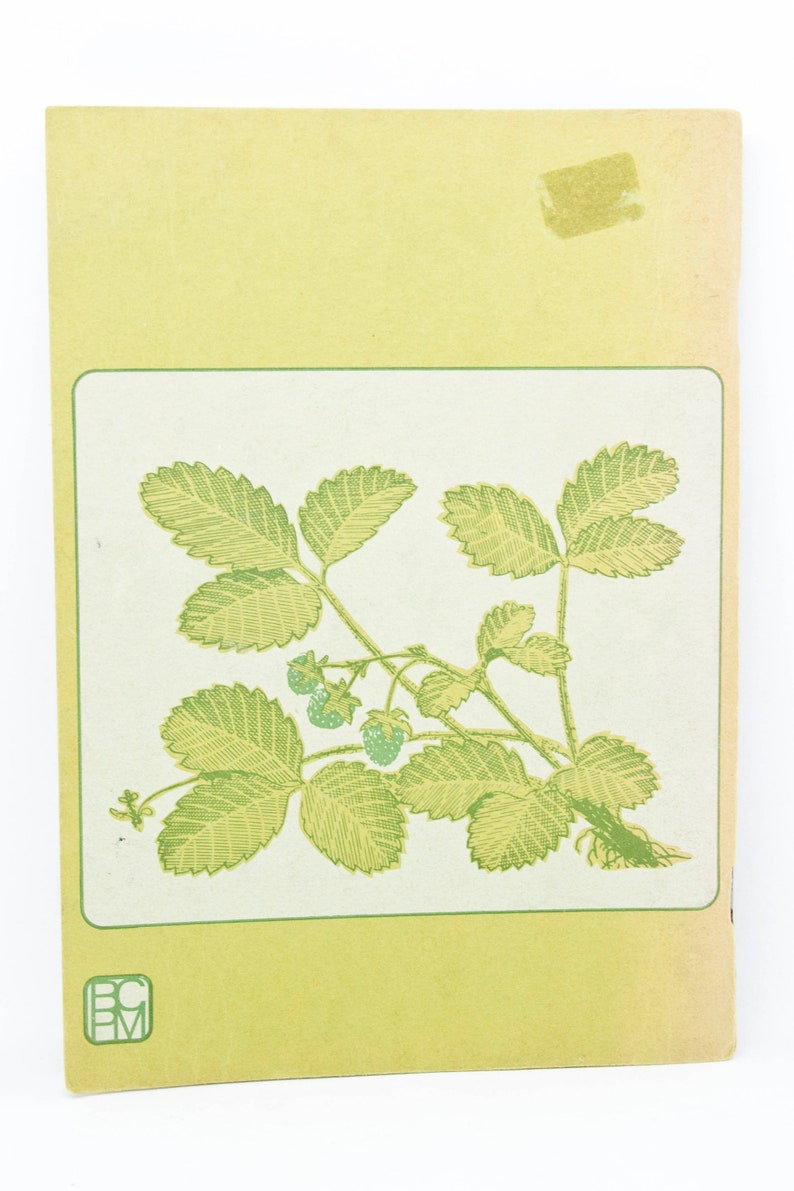 Guide to Common Edible Plants of BC AF Szczawinski GA Etsy