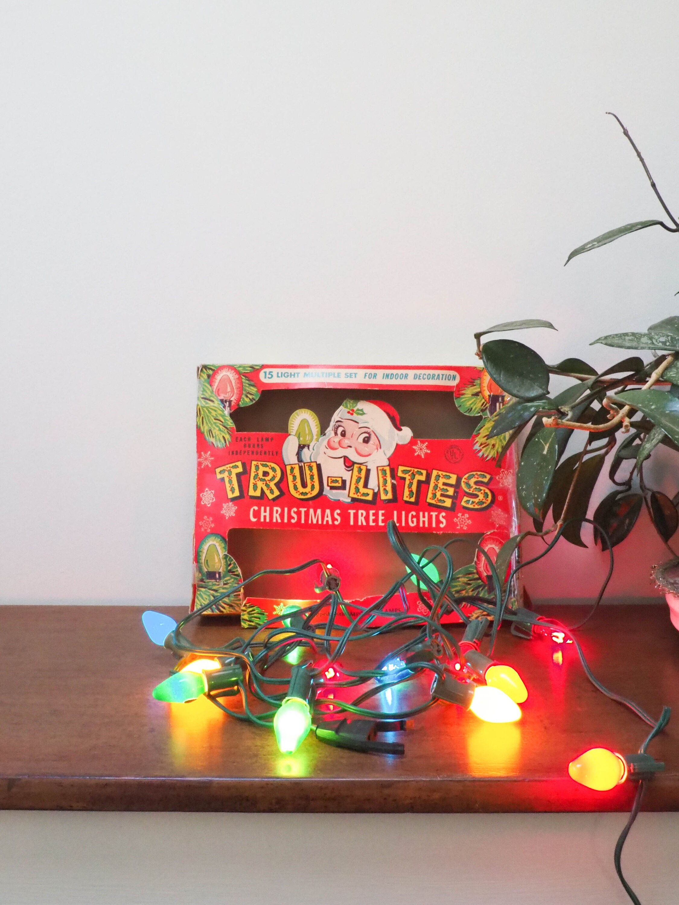 Vintage string on sale lights indoor
