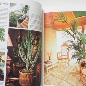 May include: A magazine spread featuring interior design with plants. The left page shows a large cactus in a woven basket, and a smaller plant in a decorative pot. The right page displays a living room with wicker furniture and a large potted palm.