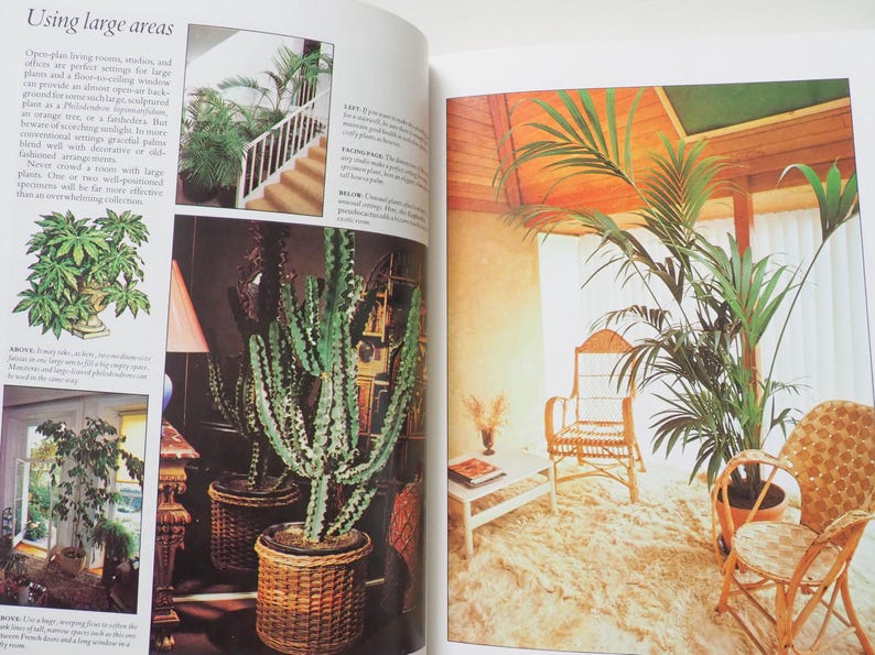 May include: A magazine spread featuring interior design with plants. The left page shows a large cactus in a woven basket, and a smaller plant in a decorative pot. The right page displays a living room with wicker furniture and a large potted palm.