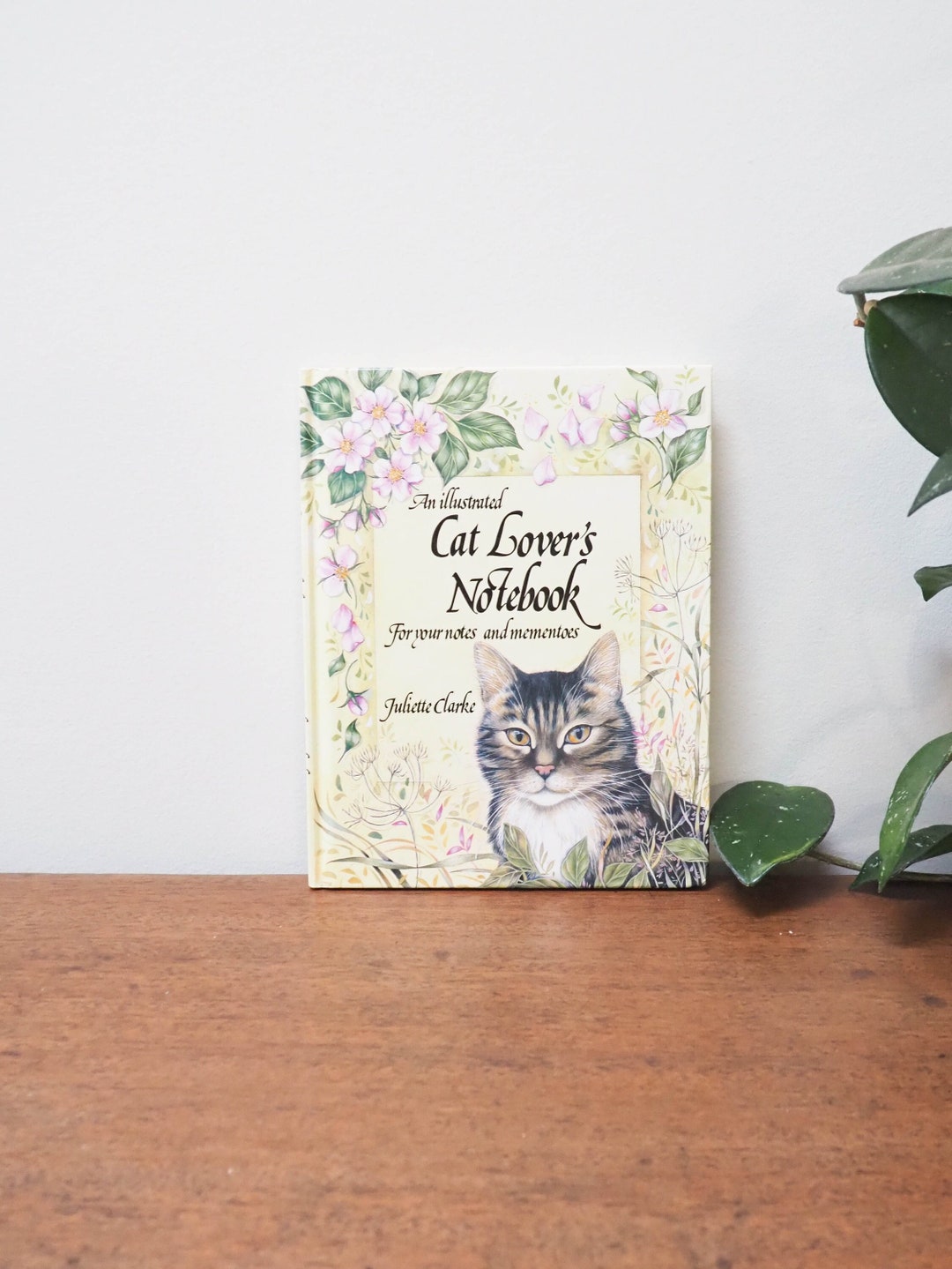 An Illustrated Cat Lover's Notebook Juliette Clarke Hardcover Book 90s