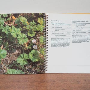 May include: Open cookbook with a spiral binding, featuring a recipe for Mallow Soup, Arabian Style, and Children's Mallow "Cheese" Hors d'Oeuvres. The left page displays a close-up of green mallow leaves and small white flowers. The page number 121 is visible.