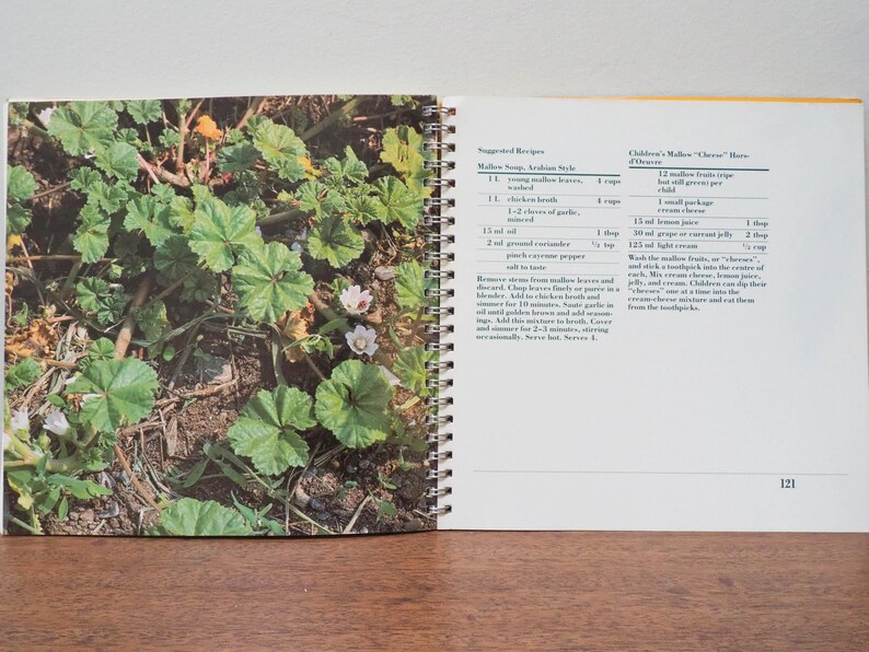 May include: Open cookbook with a spiral binding, featuring a recipe for Mallow Soup, Arabian Style, and Children's Mallow "Cheese" Hors d'Oeuvres. The left page displays a close-up of green mallow leaves and small white flowers. The page number 121 is visible.