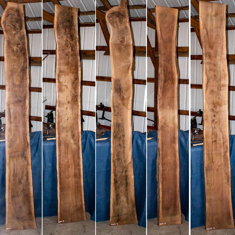 Black Walnut Blue Beetle Kill Pine Various Sizes Rough Sawn Live Edge Wood Slabs Craft Supplies Tools Home Improvement Kromasol Com