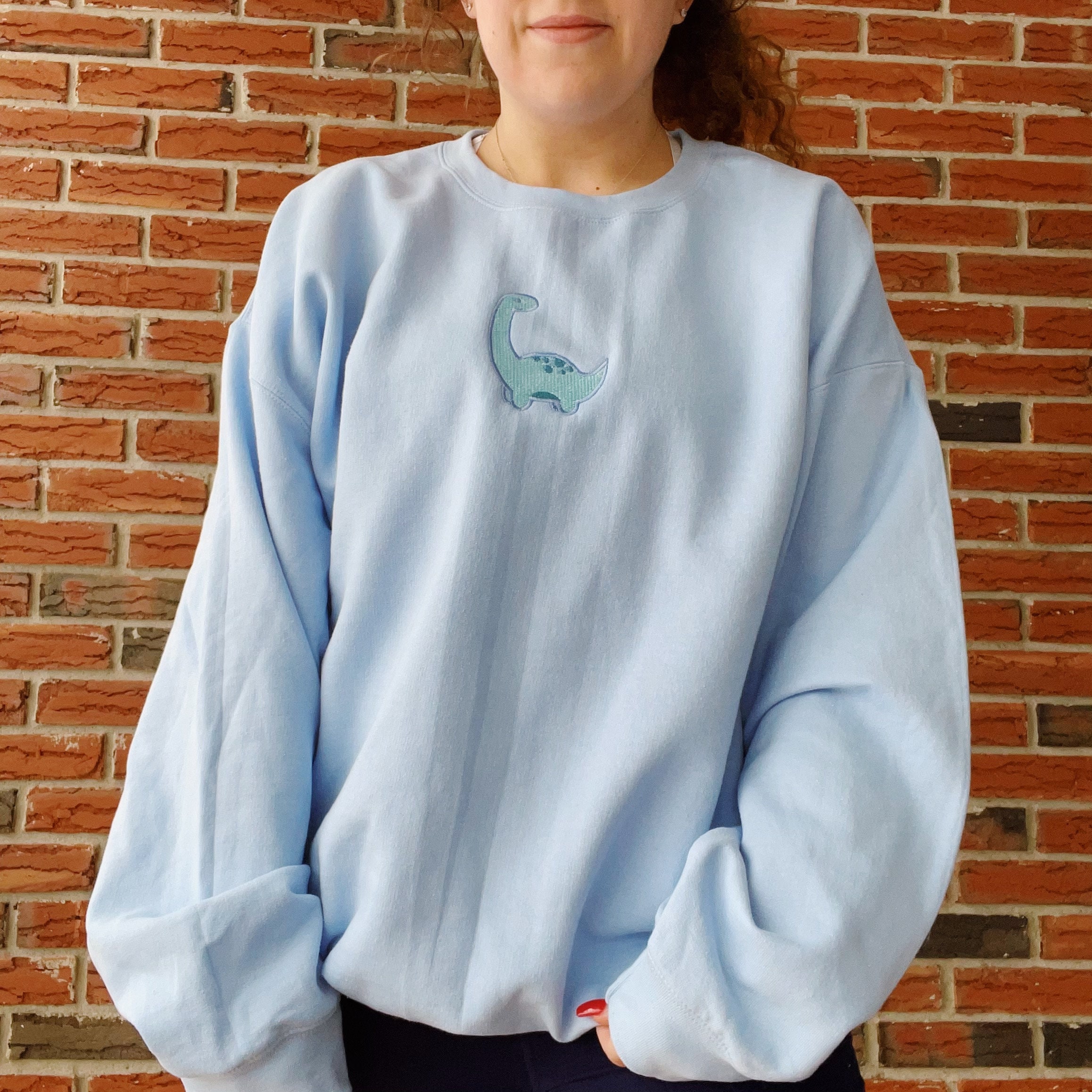 Dinosaur Embroidered Crewneck Sweatshirt | Etsy