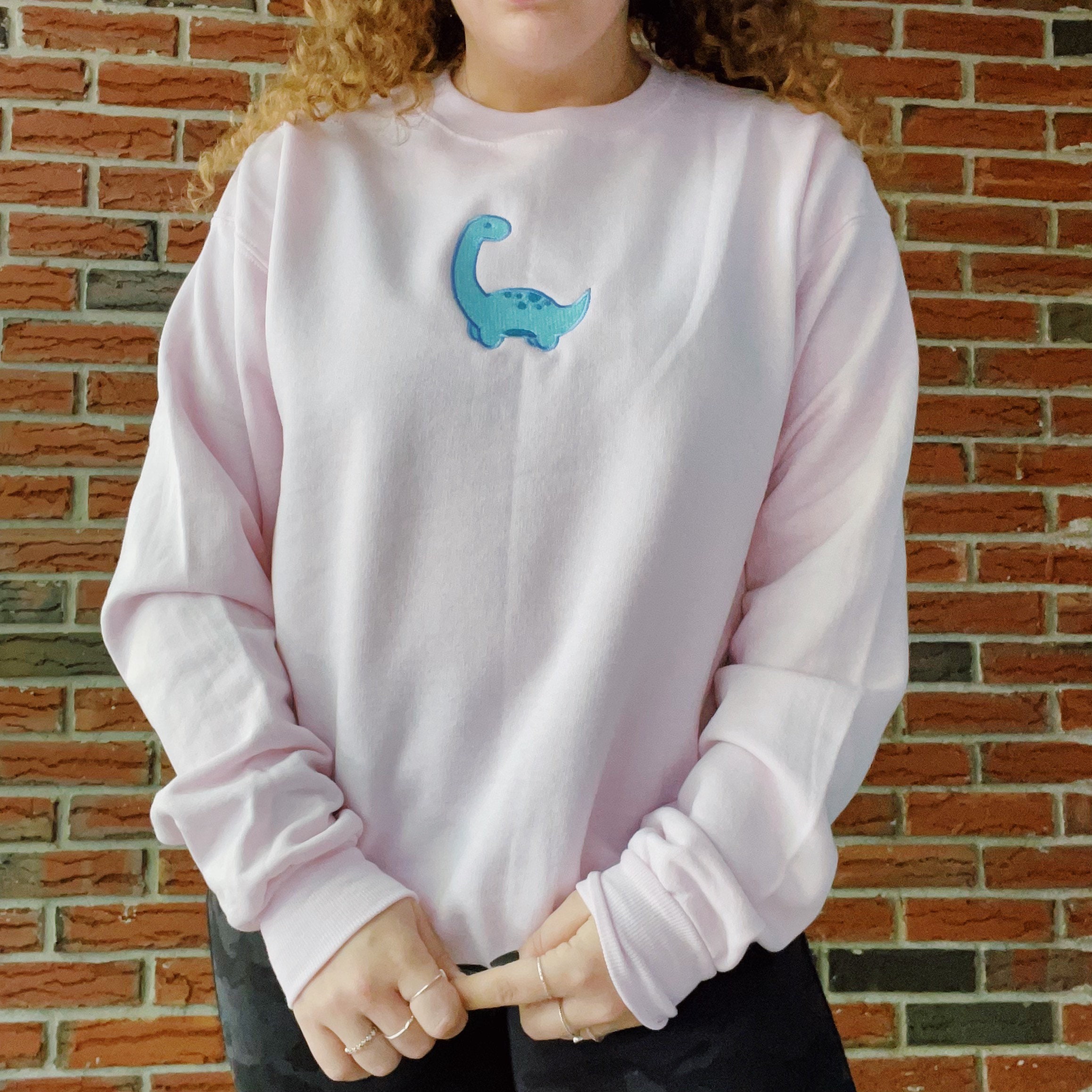 Dinosaur Embroidered Crewneck Sweatshirt | Etsy