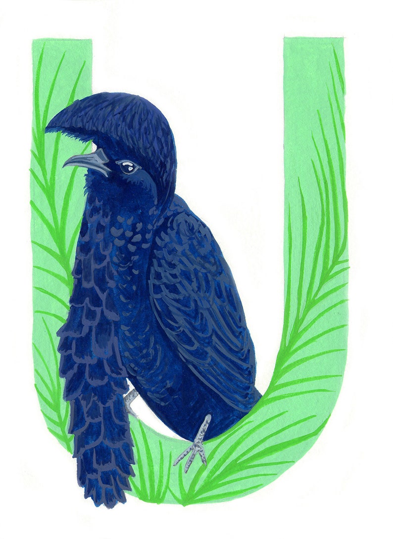 Alphabet Letter U Umbrella Bird Digital Printable Download Etsy