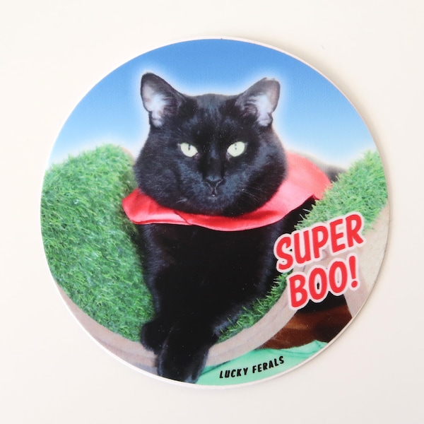 Super Boo Vinyl Sticker Lucky Ferals Black Cat Superhero Costume