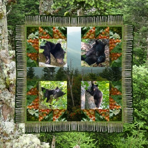 Fenced in Bears