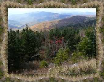 Clingman&#39;s Dome Fall