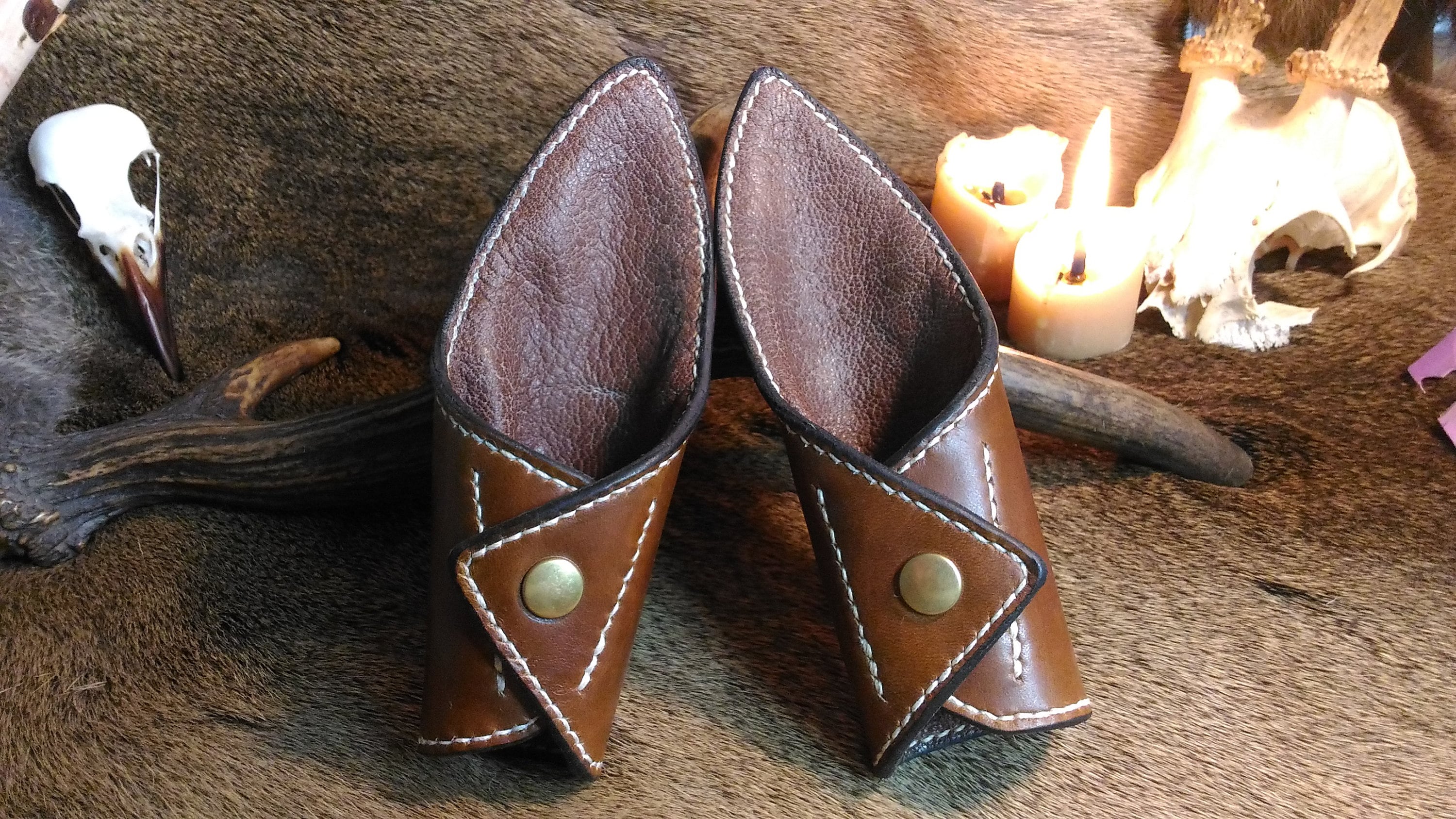 Protection Pied Pour Chien